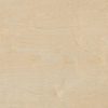 White Birch Plywood